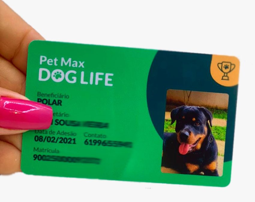 Crachá para plano de saúde Pets PVC preço em Belo Horizonte