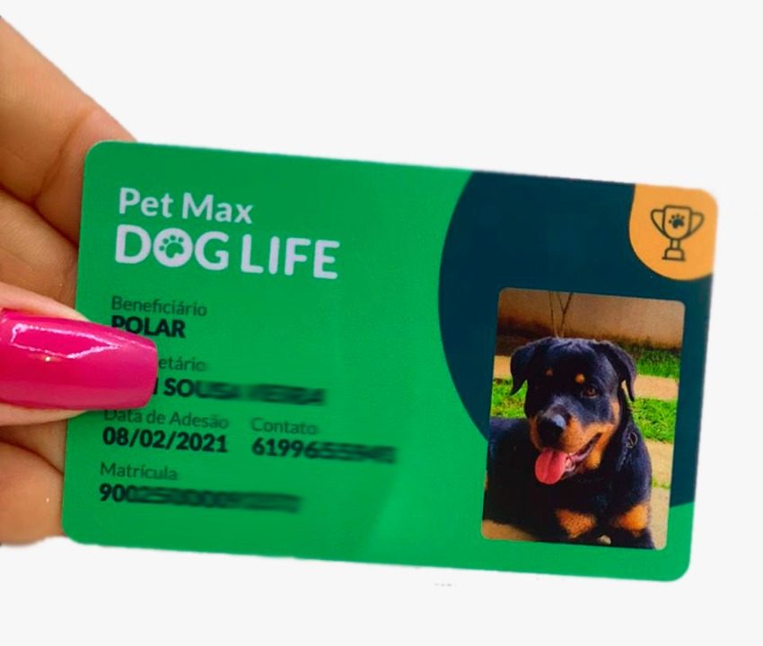 Carteirinha para plano de saúde Pets PVC preço em Belo Horizonte